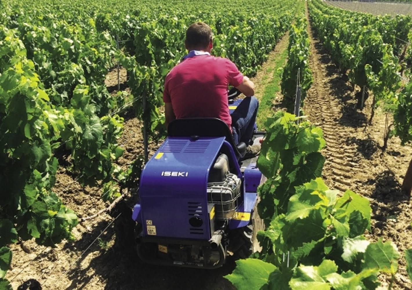 Débroussailleuse autoportée ISEKI SRA600