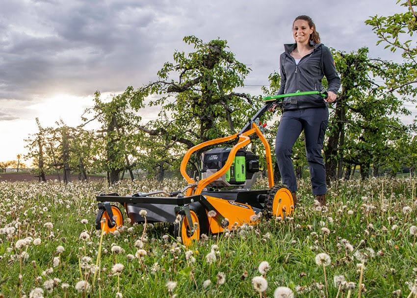 Tondeuse électrique polyvalente AS-Motor AS 62 (sans batterie ni chargeur)